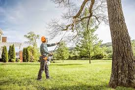 Best Tree Risk Assessment  in Greensboro, NC