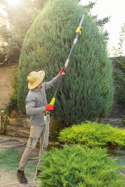 Best Commercial Tree Services  in Greensboro, NC